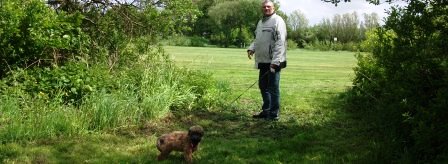 Blümchen-Info,Gos d`Atura Català,Hund an der Leine