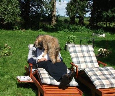 Blümchen Info,Gos d`Atura Català,Hunde-Kletterpartie mit kleinen Küssen